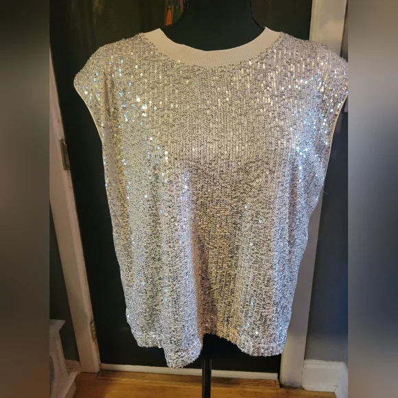 Skies Are Blue Silver Sequin Blouse - Picture 2 of 4